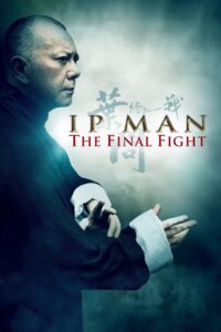 Ip Man: The Final Fight